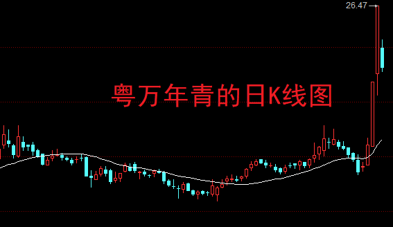 包含皇家马德里内部会议纪要流出——赛前内部沟通；NBA总决赛使命明确；年轻球员得到机会的词条