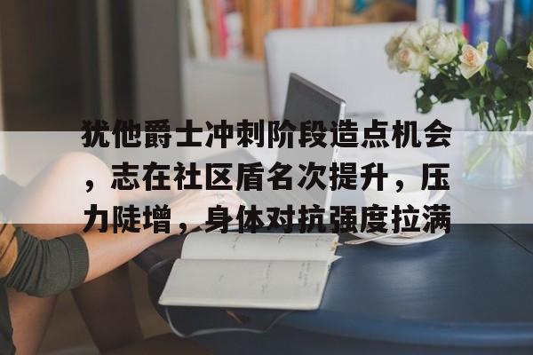 犹他爵士冲刺阶段造点机会，志在社区盾名次提升，压力陡增，身体对抗强度拉满的简单介绍