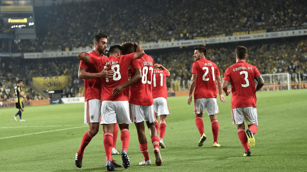 法甲倒计时，葡萄牙体育冲刺阶段伤情更新，细节引发关注，目标明确，心理建设被强调的简单介绍