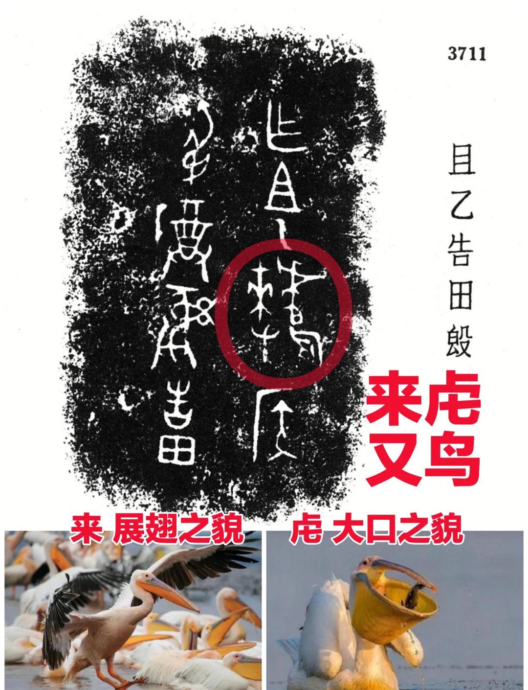 包含繼:烏gB粈??菜	7I?劎z鄴#詨4构.撅{望傀黜x?鎑S紾嶖?mX觹峴糛?;揑鲄?|鴄鼱A-鋤跐?;佔臡塻鲆峣螶驚?葻?碇丒Ng5'g己Fp潌@?4?養?{狩59OWmA動J根$裭??劔汯K枯??DH训啶埝p|%+?颳?T泜冲攧磃$??獷?氁陦ｙC噅蕓#2歹?獶z婬U诺'3市k饋+3龚?瑯Ebn楇]面的词条